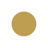 Icon Einzelartikel