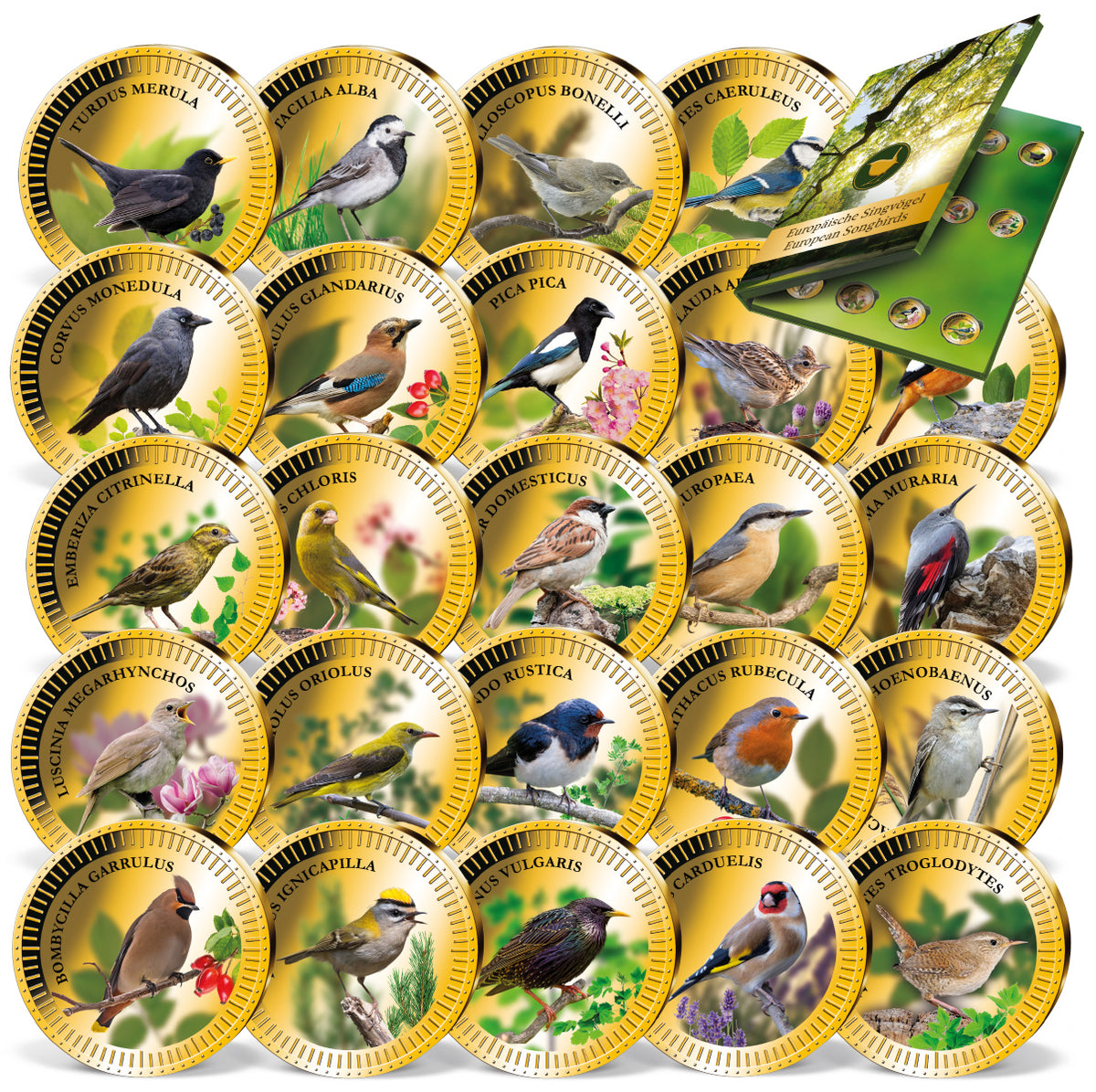 Produktbild von 24er Komplett-Set 'Europäische Singvögel'