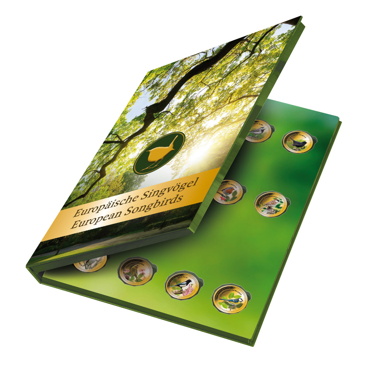 Produktbild von 24er Komplett-Set 'Europäische Singvögel'