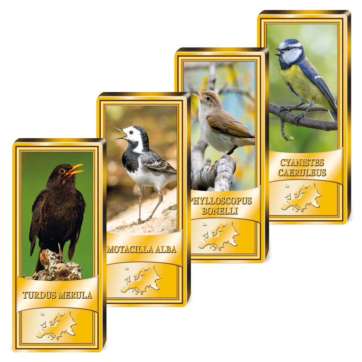 Produktbild von 24er Komplett-Set Barren 'Europäische Singvögel'