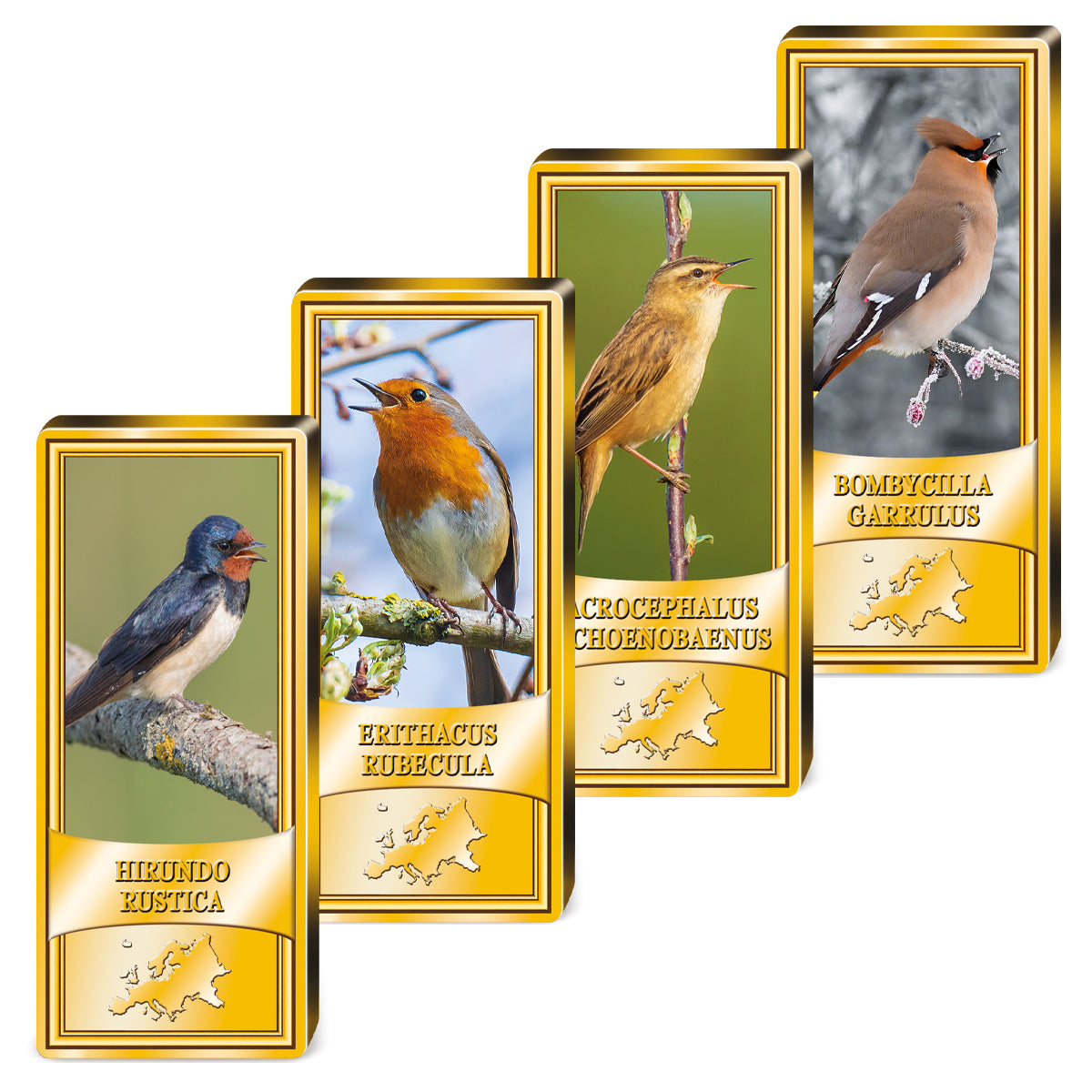 Produktbild von 24er Komplett-Set Barren 'Europäische Singvögel'