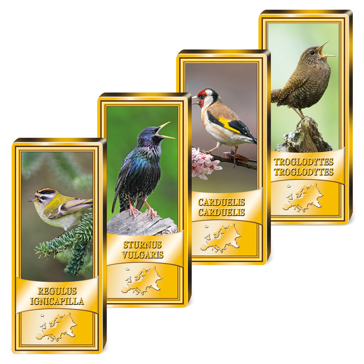 Produktbild von 24er Komplett-Set Barren 'Europäische Singvögel'