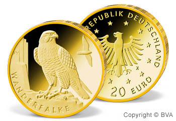 20 Euro Gold-Gedenkmünze „Heimische Vögel: Wanderfalke“ Deutschland, 2019